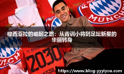 yy易游体育官网